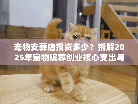 宠物安葬店投资多少？拆解2025年宠物殡葬创业核心支出与回本周期