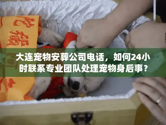 大连宠物安葬公司电话，如何24小时联系专业团队处理宠物身后事？