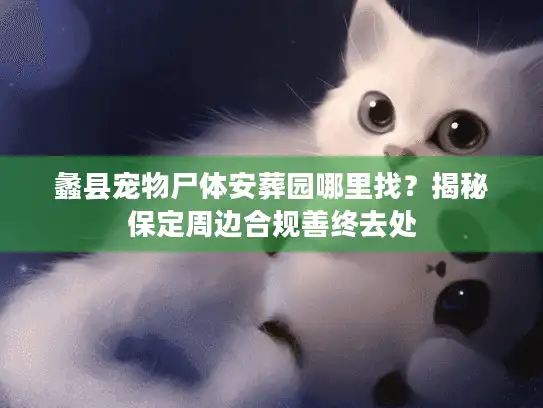 蠡县宠物尸体安葬园哪里找？揭秘保定周边合规善终去处