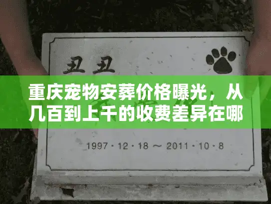 重庆宠物安葬价格曝光,从几百到上千的收费差异在哪里? 重庆宠物安葬价格曝光,从几百到上千的收费差异在哪里?
