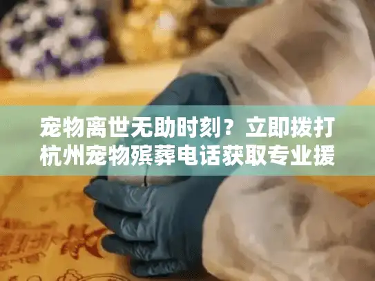 宠物离世无助时刻？立即拨打杭州宠物殡葬电话获取专业援助