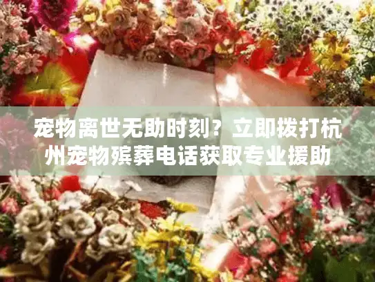 宠物离世无助时刻？立即拨打杭州宠物殡葬电话获取专业援助