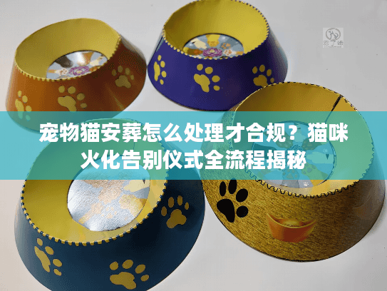 宠物猫安葬怎么处理才合规？猫咪火化告别仪式全流程揭秘