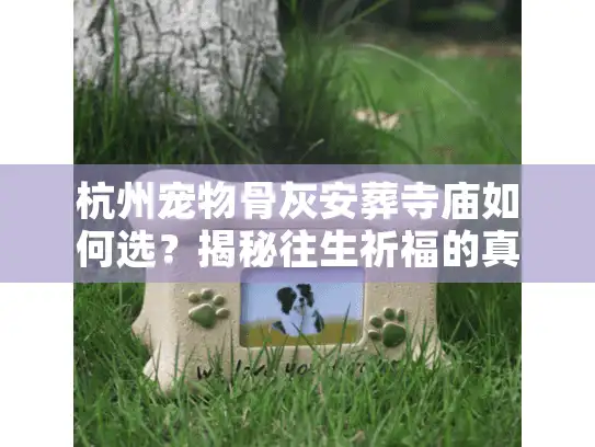 杭州宠物骨灰安葬寺庙如何选？揭秘往生祈福的真实门道与费用