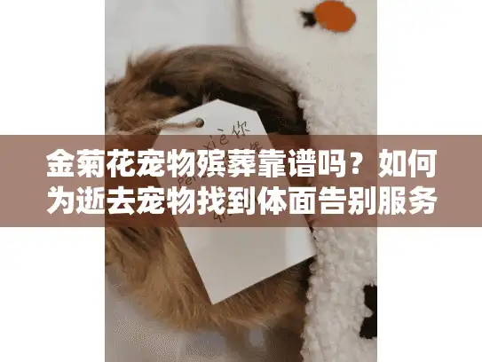 金菊花宠物殡葬靠谱吗？如何为逝去宠物找到体面告别服务