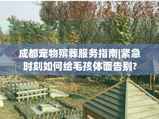 成都宠物殡葬服务指南|紧急时刻如何给毛孩体面告别? 成都宠物殡葬服务指南|紧急时刻如何给毛孩体面告别?