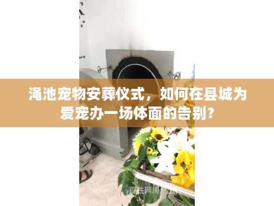 渑池宠物安葬仪式，如何在县城为爱宠办一场体面的告别？