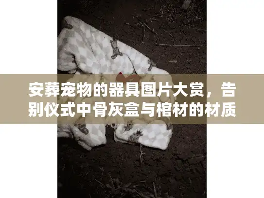 安葬宠物的器具图片大赏，告别仪式中骨灰盒与棺材的材质美学