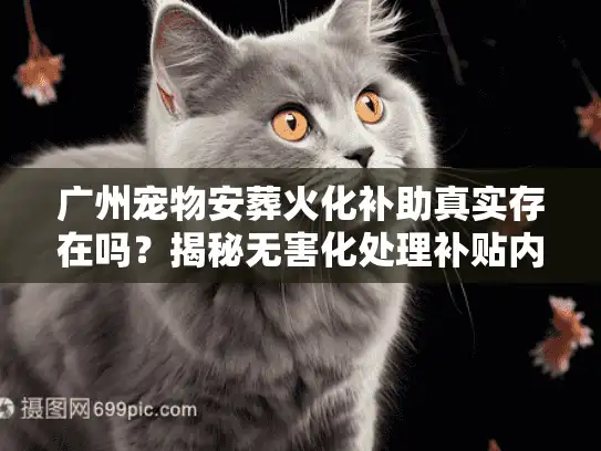 广州宠物安葬火化补助真实存在吗？揭秘无害化处理补贴内幕