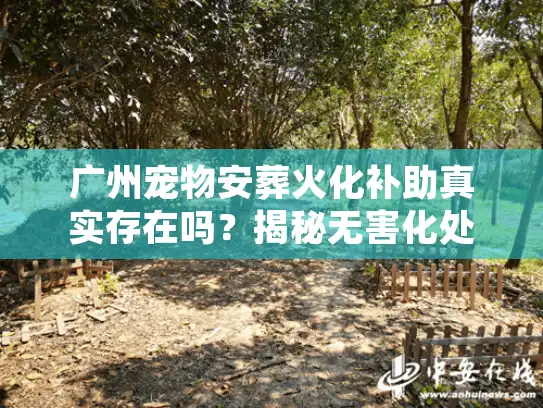广州宠物安葬火化补助真实存在吗？揭秘无害化处理补贴内幕