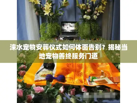 涞水宠物安葬仪式如何体面告别？揭秘当地宠物善终服务门道