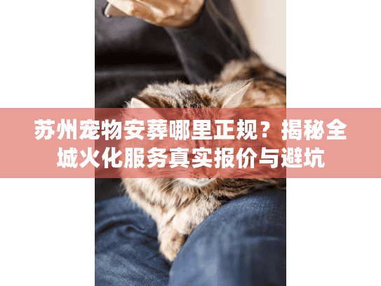 苏州宠物安葬哪里正规？揭秘全城火化服务真实报价与避坑