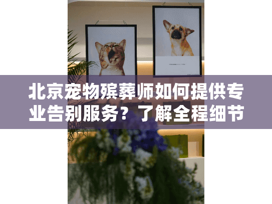 北京宠物殡葬师如何提供专业告别服务？了解全程细节与情感关怀