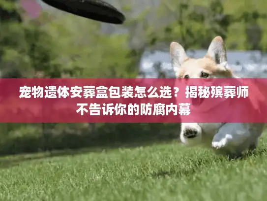 宠物遗体安葬盒包装怎么选？揭秘殡葬师不告诉你的防腐内幕