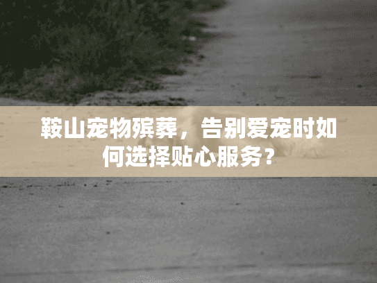 鞍山宠物殡葬，告别爱宠时如何选择贴心服务？