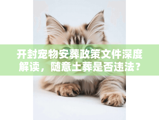 开封宠物安葬政策文件深度解读,随意土葬是否违法? 开封宠物安葬政策文件深度解读,随意土葬是否违法?