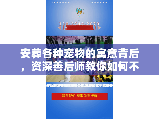 安葬各种宠物的寓意背后，资深善后师教你如何不留遗憾