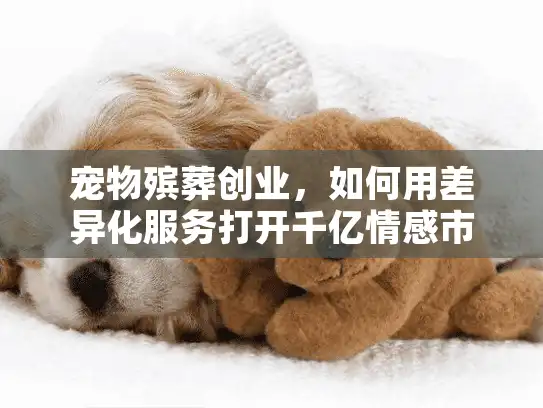 宠物殡葬创业，如何用差异化服务打开千亿情感市场？