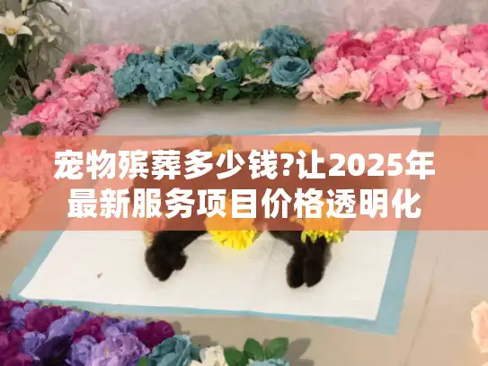 宠物殡葬多少钱?让2025年最新服务项目价格透明化
