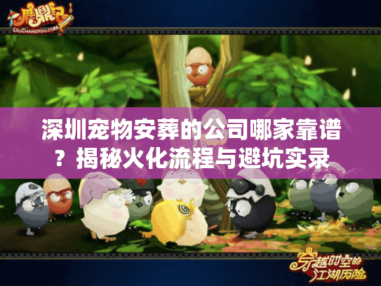 深圳宠物安葬的公司哪家靠谱？揭秘火化流程与避坑实录