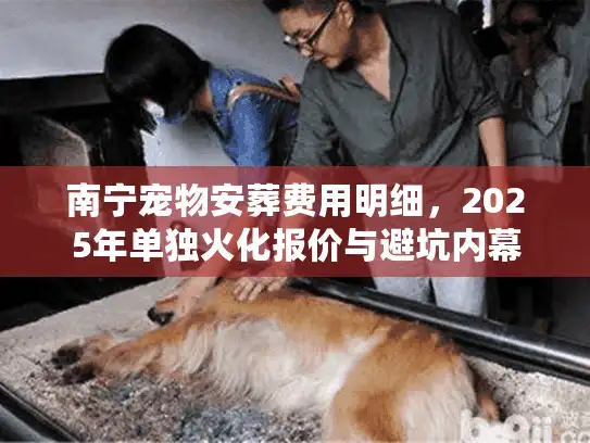 南宁宠物安葬费用明细，2025年单独火化报价与避坑内幕
