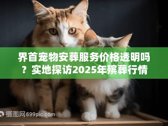 界首宠物安葬服务价格透明吗？实地探访2025年殡葬行情