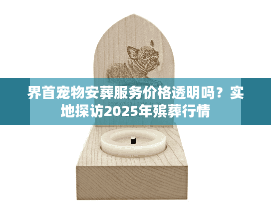 界首宠物安葬服务价格透明吗？实地探访2025年殡葬行情