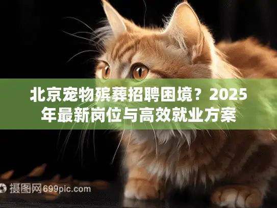 北京宠物殡葬招聘困境？2025年最新岗位与高效就业方案