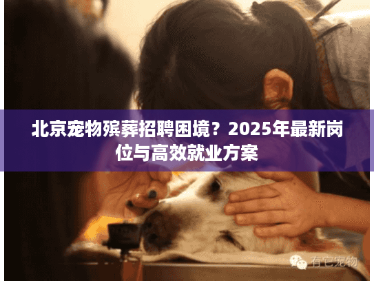 北京宠物殡葬招聘困境？2025年最新岗位与高效就业方案