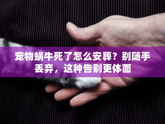 宠物蜗牛死了怎么安葬?别随手丢弃,这种告别更体面 宠物蜗牛死了怎么安葬?别随手丢弃,这种告别更体面