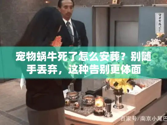 宠物蜗牛死了怎么安葬?别随手丢弃,这种告别更体面 宠物蜗牛死了怎么安葬?别随手丢弃,这种告别更体面