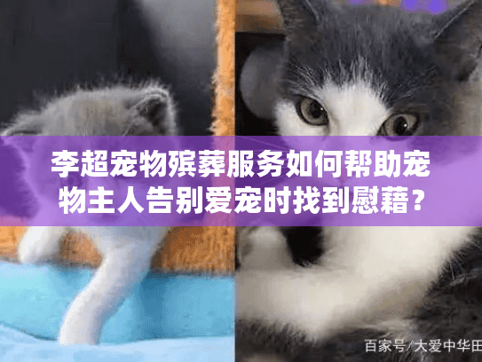 李超宠物殡葬服务如何帮助宠物主人告别爱宠时找到慰藉？