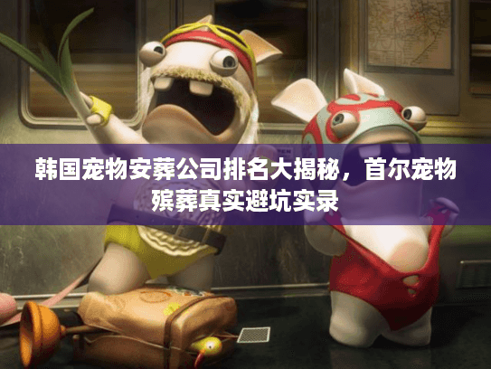 韩国宠物安葬公司排名大揭秘，首尔宠物殡葬真实避坑实录