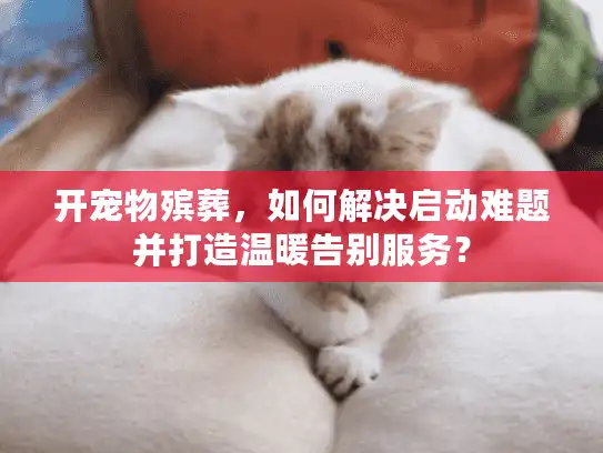 开宠物殡葬,如何解决启动难题并打造温暖告别服务? 开宠物殡葬,如何解决启动难题并打造温暖告别服务?