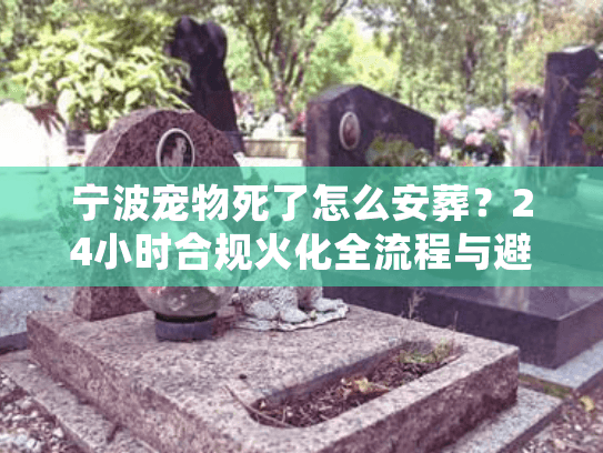 宁波宠物死了怎么安葬？24小时合规火化全流程与避坑实录