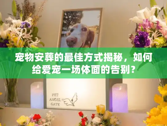 宠物安葬的最佳方式揭秘，如何给爱宠一场体面的告别？