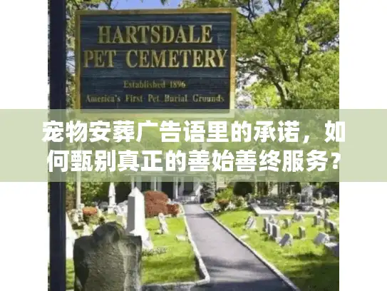 宠物安葬广告语里的承诺，如何甄别真正的善始善终服务？