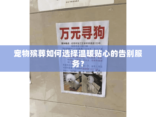 宠物殡葬如何选择温暖贴心的告别服务？