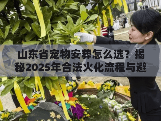 山东省宠物安葬怎么选？揭秘2025年合法火化流程与避坑细节