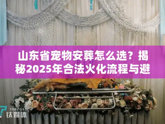 山东省宠物安葬怎么选？揭秘2025年合法火化流程与避坑细节