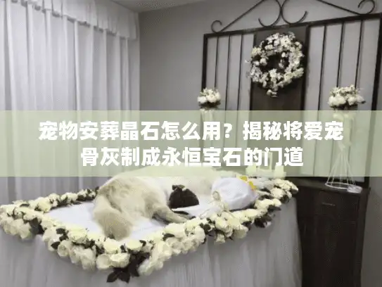 宠物安葬晶石怎么用？揭秘将爱宠骨灰制成永恒宝石的门道