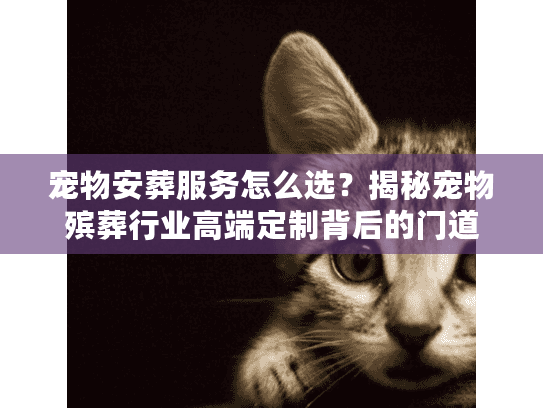 宠物安葬服务怎么选?揭秘宠物殡葬行业高端定制背后的门道 宠物安葬服务怎么选?揭秘宠物殡葬行业高端定制背后的门道