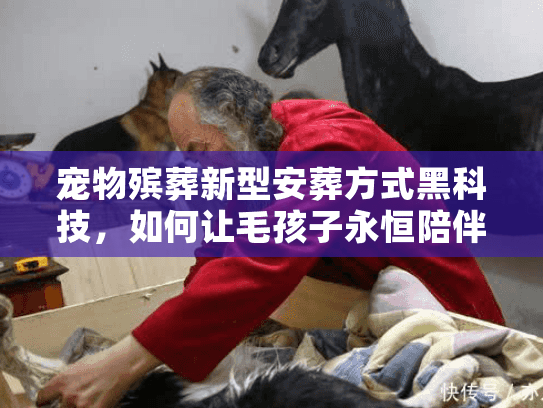 宠物殡葬新型安葬方式黑科技,如何让毛孩子永恒陪伴? 宠物殡葬新型安葬方式黑科技,如何让毛孩子永恒陪伴?