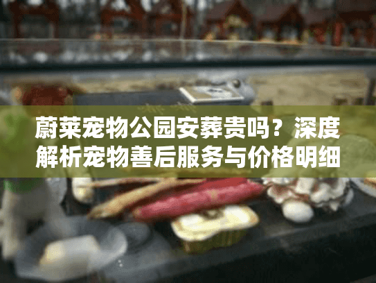 蔚莱宠物公园安葬贵吗？深度解析宠物善后服务与价格明细