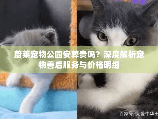 蔚莱宠物公园安葬贵吗？深度解析宠物善后服务与价格明细