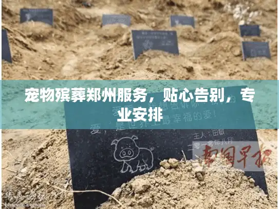宠物殡葬郑州服务,贴心告别,专业安排 宠物殡葬郑州服务,贴心告别,专业安排