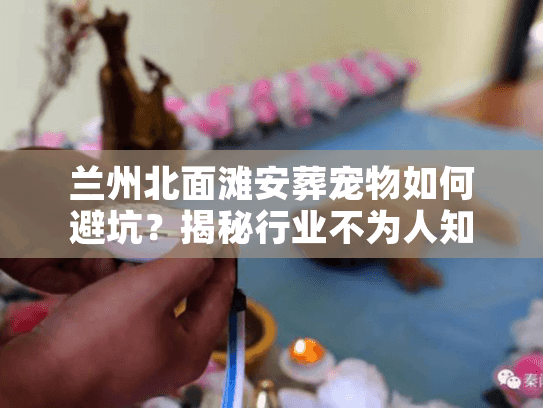 兰州北面滩安葬宠物如何避坑?揭秘行业不为人知的内幕 兰州北面滩安葬宠物如何避坑?揭秘行业不为人知的内幕