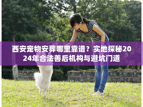 西安宠物安葬哪里靠谱？实地探秘2024年合法善后机构与避坑门道