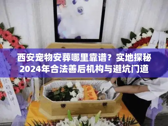 西安宠物安葬哪里靠谱？实地探秘2024年合法善后机构与避坑门道