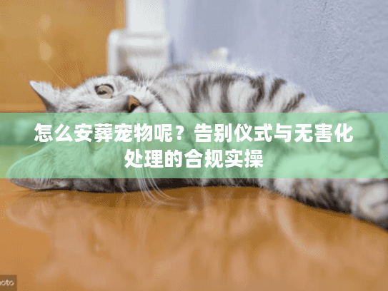 怎么安葬宠物呢？告别仪式与无害化处理的合规实操